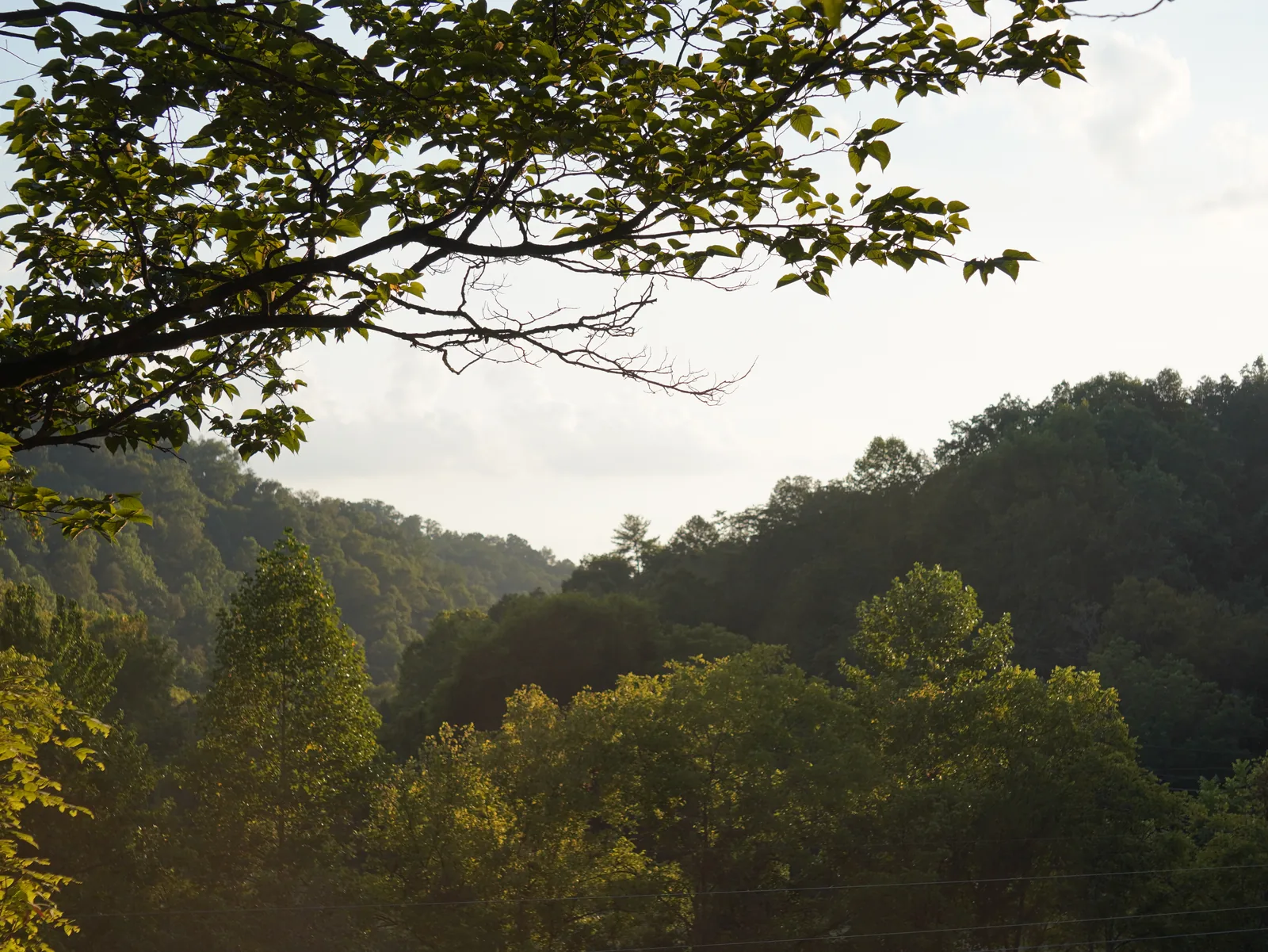 Smoky Mountain Acres farm landscape near Cosby, Tennessee